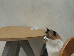 -玫瑰咖啡(中山六路店)