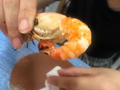 -Mango Tango