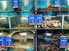 -海味当家·蒸锅海鲜(星海公园店)