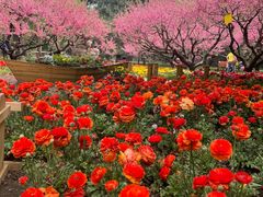 -香山公园