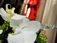 -GRACE CHEN高级时装