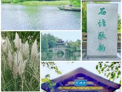 -长广溪湿地公园