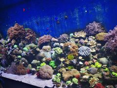 -珠海长隆海洋王国