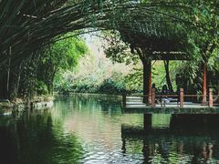 -棠湖公园