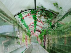 -广东天露山旅游度假区