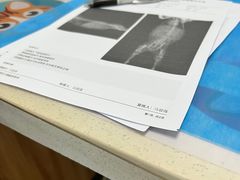 -瑞鹏宠物医院·内科·中兽医·骨科(苗圃店)