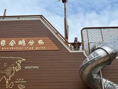 -合肥野生动物园