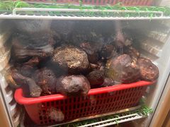 -太婆天府山珍酒楼(亚运村店)