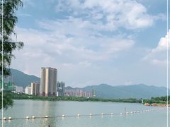 -飞来湖湿地公园
