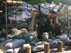 -济州岛泰迪熊博物馆