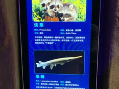 -波塞冬旅游度假区