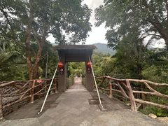 -海南热带雨林国家公园吊罗山景区