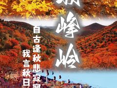 -周口店坡峰岭风景区