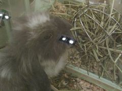 -龙猫仔乐园(惠福东路店)