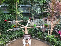 -南宫五洲植物乐园