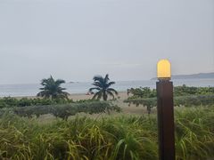 -渔家火锅·海鲜自助餐·演艺(亚龙湾天域酒店)