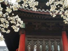 -灵谷景区