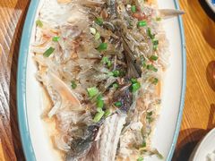 -宴武夷·匠心闽味(印象大红袍店)