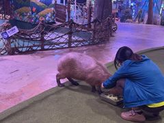 -正佳雨林生态植物园