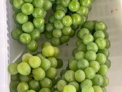 -马陆小张葡萄园农家乐