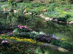 -上海共青森林公园