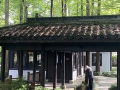 -杭州植物园