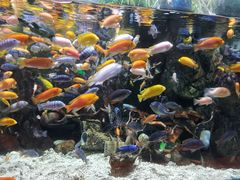 -太平洋海底世界