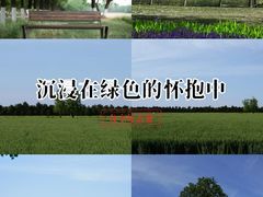 -汉长安城未央宫国家考古遗址公园