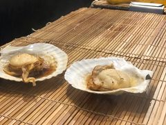-黑潮市场