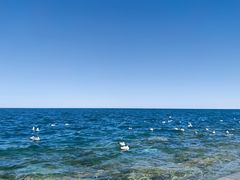 -青海湖国家重点风景名胜区