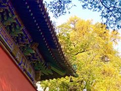 -潭柘寺景区