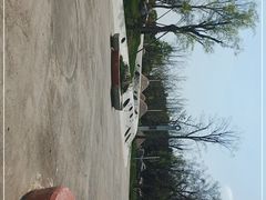 -白鹭湾湿地公园