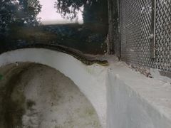 -昆明动物园