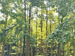-杭州西湖风景名胜区-满觉陇四眼井