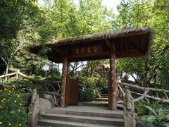 -秀丽东方