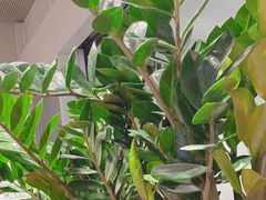 -维也纳国际机场