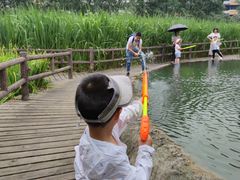 -成都市活水公园