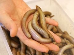 -铭聚章鱼土笋冻(松柏店)