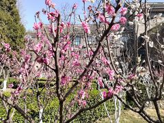 -山东师范大学(千佛山校区)
