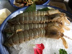 -渔娘渔家丹东海鲜(东直门店)