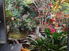 -海韵人家.海景花园经典云南菜(双廊店)