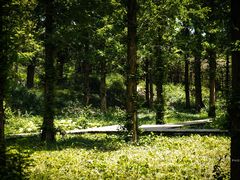 -国家植物园南园