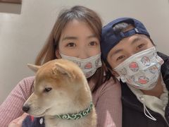 -逗柴咖啡屋·狗咖猫咖宠物桌游