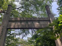 -雨花胜境