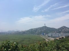 -洋山深水港