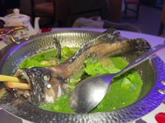 -狮拾久·现代新加坡料理(福田COCO Park店)