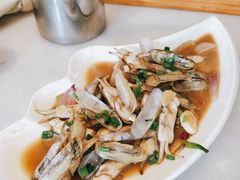 蛏子-华盛丰温州大排档(东三环南路店)