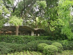 -上海市保健医疗中心