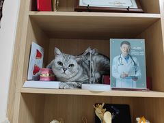 -谐和益家动物医院·免疫绝育·血液透析·宠保定点医院(高新伊藤分院)