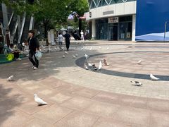 -中粮·祥云小镇